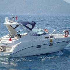 Sealine S34 motor boat charter Ibiza Formentera cocina sailing