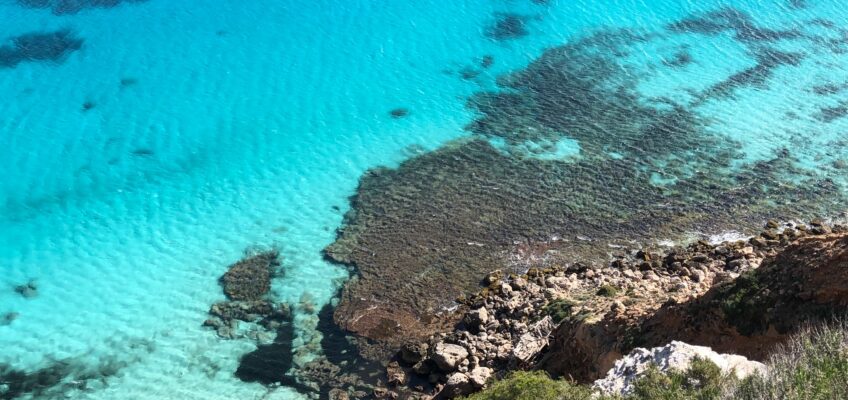 Excursión en barco a las Cuevas de Sa Talaia: naturaleza, snorkel y aventura